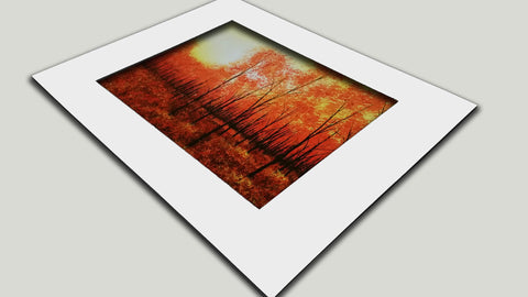 Ready To Sell Matted Fine Art Prints