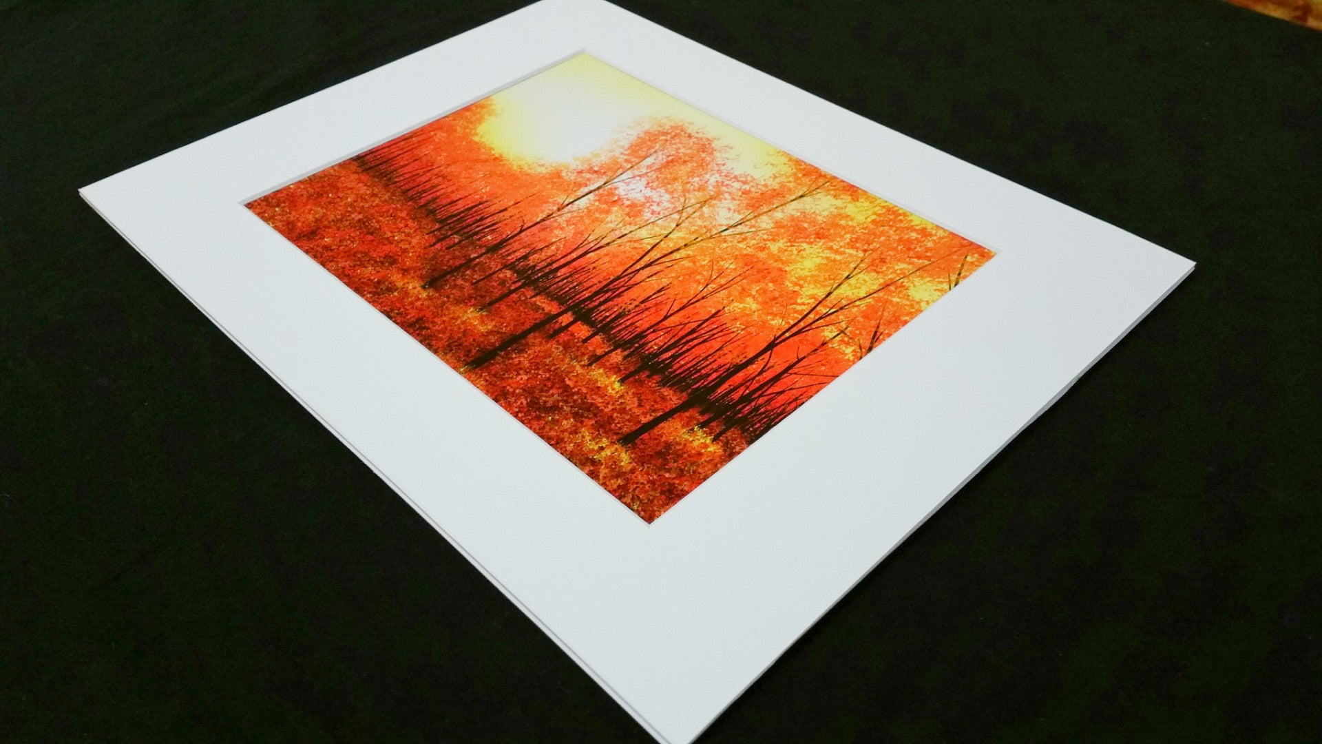 Paint Addict Studios Canvas Wraps and Fine Art Printing