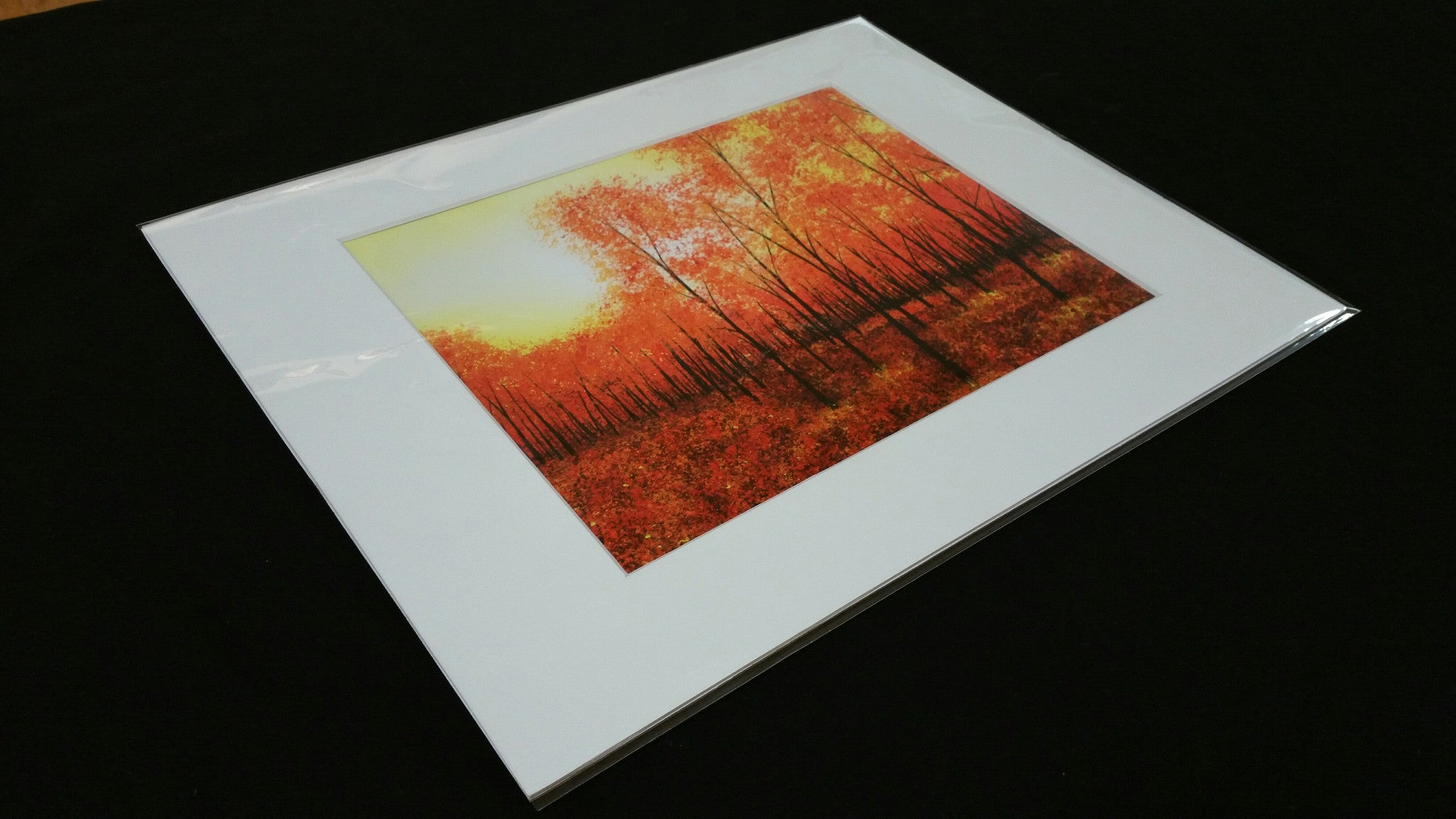 Paint Addict Studios Canvas Wraps and Fine Art Printing