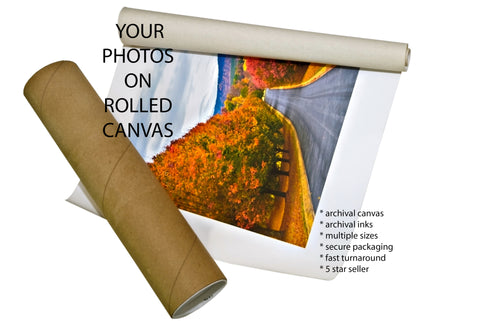 Rolled Canvas Printing